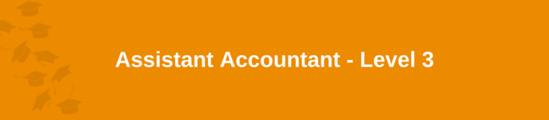 Assistant Accountant - Level 3