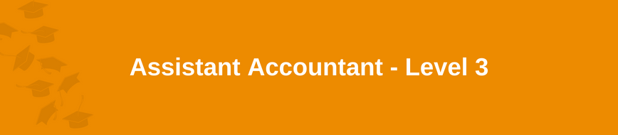 Assistant Accountant - Level 3
