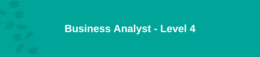 Business Analyst - Level 4