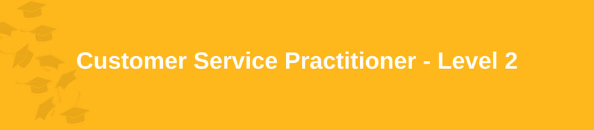 Customer Service Practitioner - Level 2