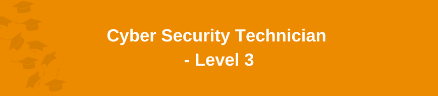 Cyber Security Technician - Level 3