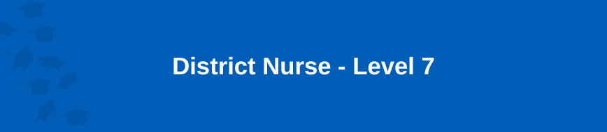 District Nurse - Level 7