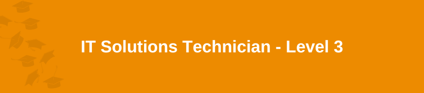 IT Solutions Technician - Level 3