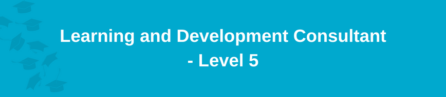Learning and Development Consultant - Level 5
