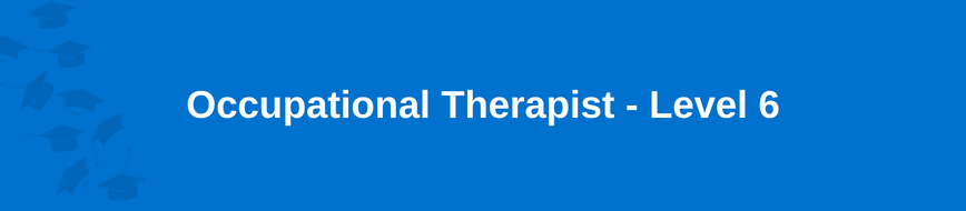 Occupational Therapist - Level 6