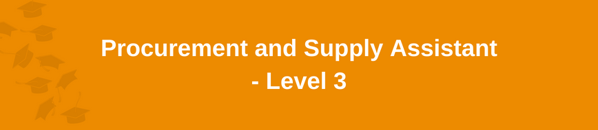 Procurement and Supply Assistant - Level 3