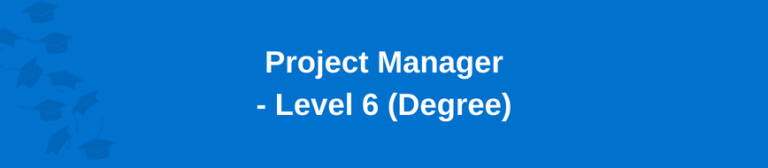 Project Manager - Level 6