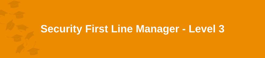 Security First Line Manager - Level 3