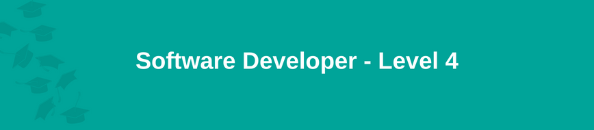 Software Developer - Level 4