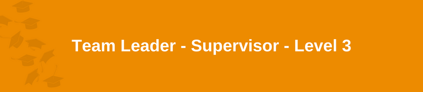 Team Leader - Supervisor