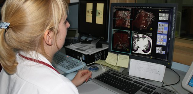 staff member viewing diagnostic imagery on a computer screen