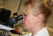 staff member looking through a microscope