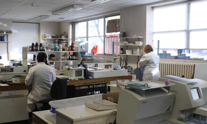 Cell Pathology - Histology Department Staff Working