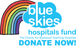 Blue Skies Donate Now button