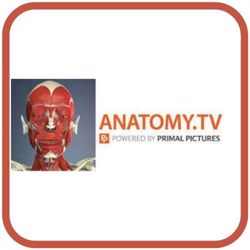 Login to Anatomy TV with OpenAthens