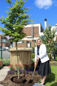 BTH CEO Trish Armstrong-Child plants a tree
