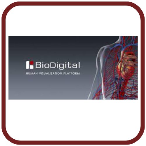 Access BioDigital Human 3D Anatomy and Disease Platform